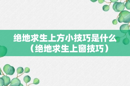 绝地求生上方小技巧是什么（绝地求生上窗技巧）