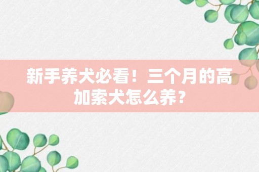 新手养犬必看！三个月的高加索犬怎么养？