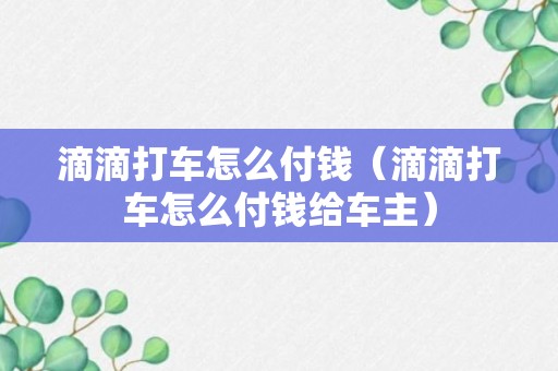 滴滴打车怎么付钱（滴滴打车怎么付钱给车主）