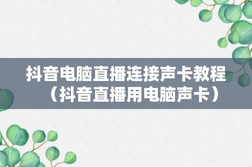 抖音电脑直播连接声卡教程（抖音直播用电脑声卡）