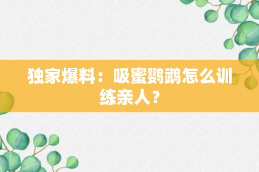 独家爆料：吸蜜鹦鹉怎么训练亲人？