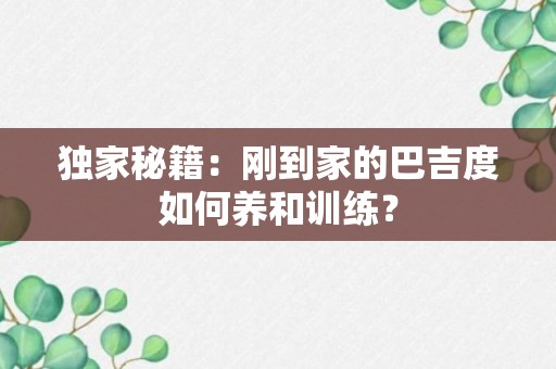 独家秘籍：刚到家的巴吉度如何养和训练？