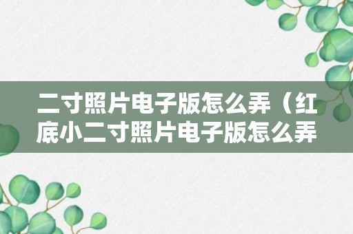 二寸照片电子版怎么弄（红底小二寸照片电子版怎么弄）