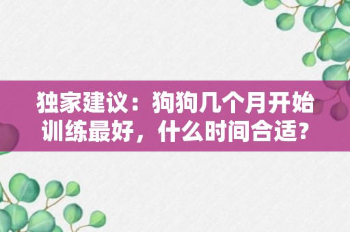 独家建议：狗狗几个月开始训练最好，什么时间合适？