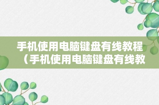 手机使用电脑键盘有线教程（手机使用电脑键盘有线教程图解）