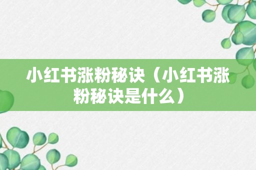 小红书涨粉秘诀（小红书涨粉秘诀是什么）