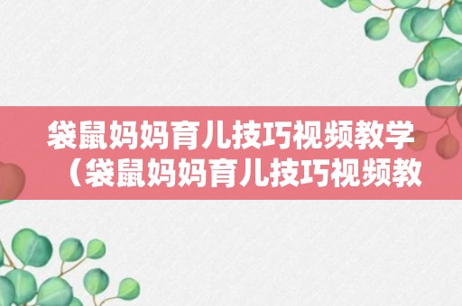 袋鼠妈妈育儿技巧视频教学（袋鼠妈妈育儿技巧视频教学全集）