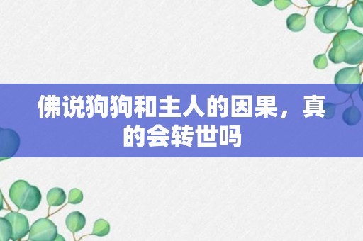 佛说狗狗和主人的因果，真的会转世吗