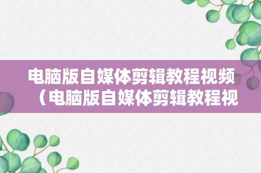 电脑版自媒体剪辑教程视频（电脑版自媒体剪辑教程视频软件）