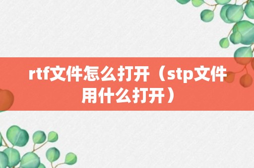 rtf文件怎么打开（stp文件用什么打开）