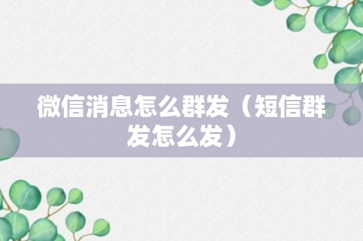 微信消息怎么群发（短信群发怎么发）