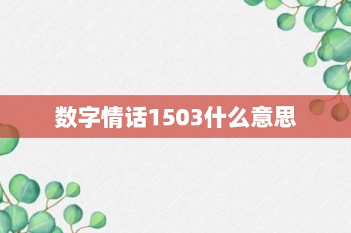 数字情话1503什么意思