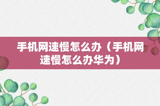 手机网速慢怎么办（手机网速慢怎么办华为）