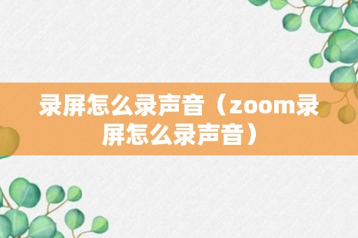 录屏怎么录声音（zoom录屏怎么录声音）