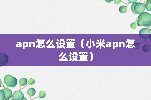 apn怎么设置（小米apn怎么设置）