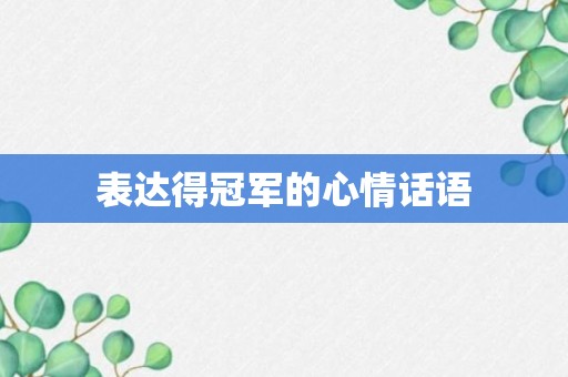 表达得冠军的心情话语