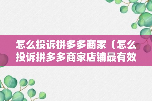 怎么投诉拼多多商家（怎么投诉拼多多商家店铺最有效的方法）