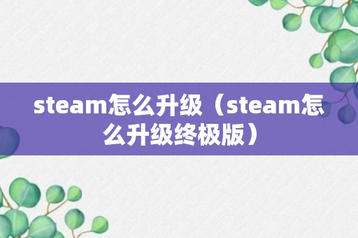 steam怎么升级（steam怎么升级终极版）