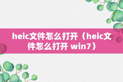 heic文件怎么打开（heic文件怎么打开 win7）