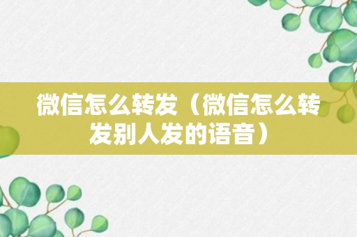 微信怎么转发（微信怎么转发别人发的语音）