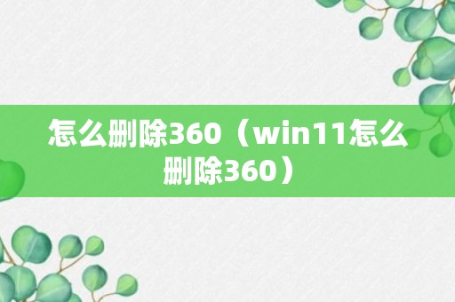 怎么删除360（win11怎么删除360）