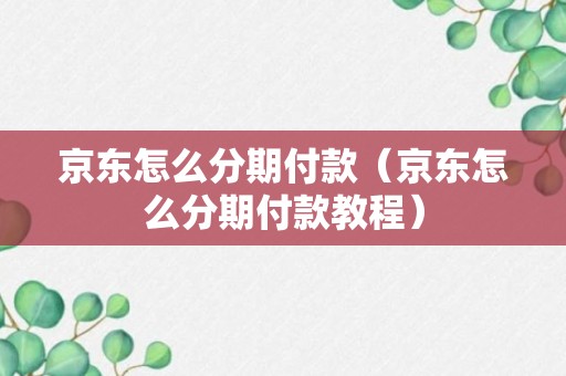 京东怎么分期付款（京东怎么分期付款教程）