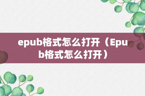 epub格式怎么打开（Epub格式怎么打开）