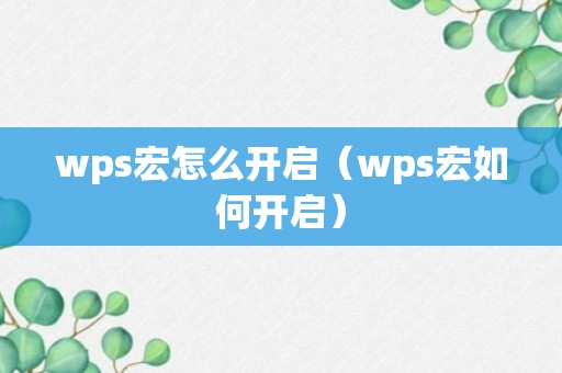 wps宏怎么开启（wps宏如何开启）