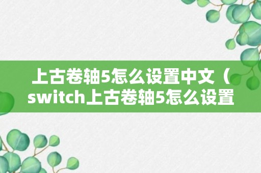 上古卷轴5怎么设置中文（switch上古卷轴5怎么设置中文）