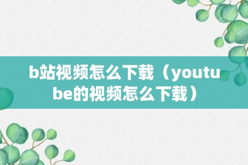 b站视频怎么下载（youtube的视频怎么下载）