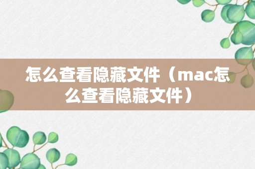 怎么查看隐藏文件（mac怎么查看隐藏文件）