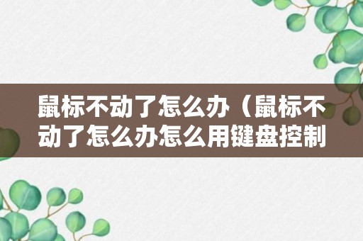 鼠标不动了怎么办（鼠标不动了怎么办怎么用键盘控制）