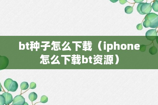 bt种子怎么下载（iphone怎么下载bt资源）