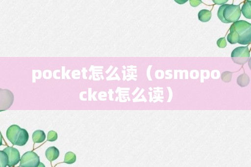 pocket怎么读（osmopocket怎么读）