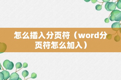 怎么插入分页符（word分页符怎么加入）