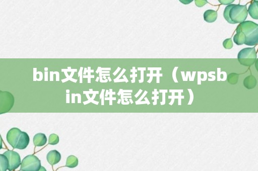 bin文件怎么打开（wpsbin文件怎么打开）