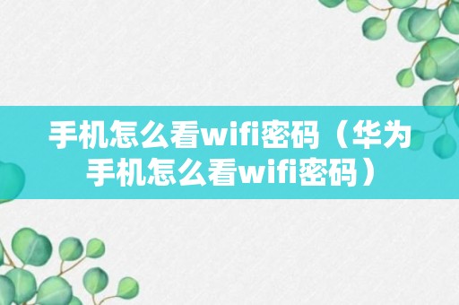 手机怎么看wifi密码（华为手机怎么看wifi密码）