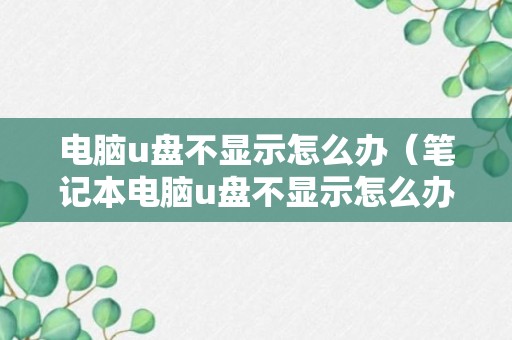 电脑u盘不显示怎么办（笔记本电脑u盘不显示怎么办）