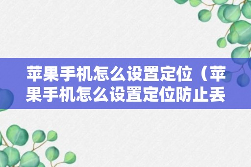 苹果手机怎么设置定位（苹果手机怎么设置定位防止丢失）