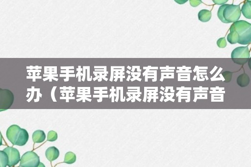 苹果手机录屏没有声音怎么办（苹果手机录屏没有声音怎么办怎么设置）