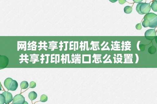 网络共享打印机怎么连接（共享打印机端口怎么设置）