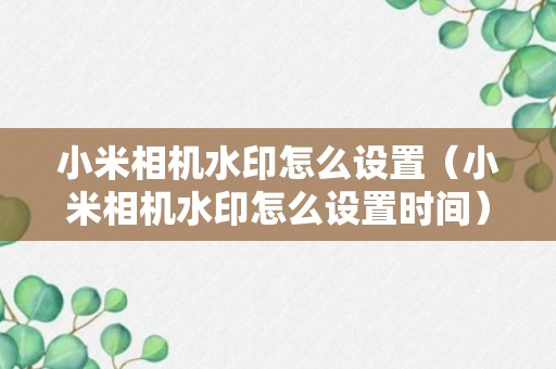 小米相机水印怎么设置（小米相机水印怎么设置时间）