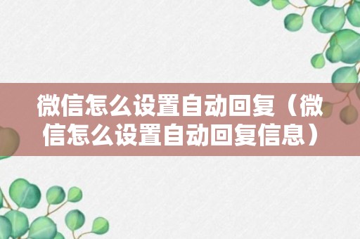 微信怎么设置自动回复（微信怎么设置自动回复信息）