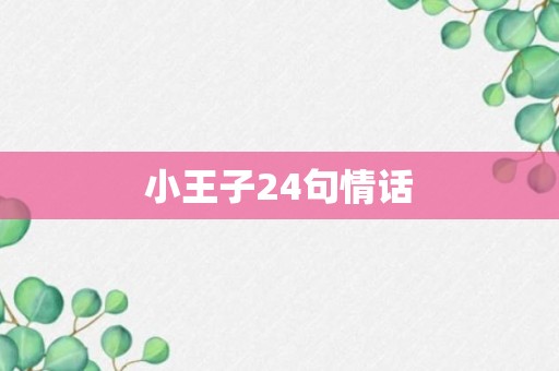 小王子24句情话