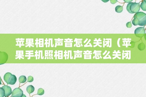 苹果相机声音怎么关闭（苹果手机照相机声音怎么关闭）