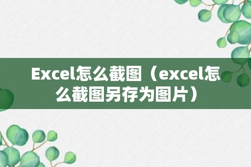 Excel怎么截图（excel怎么截图另存为图片）