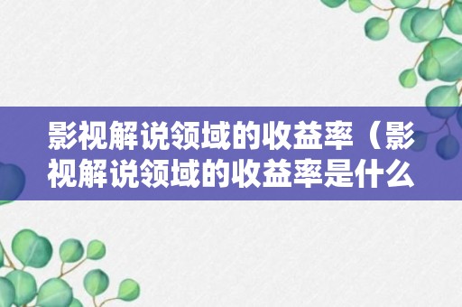 影视解说领域的收益率（影视解说领域的收益率是什么）