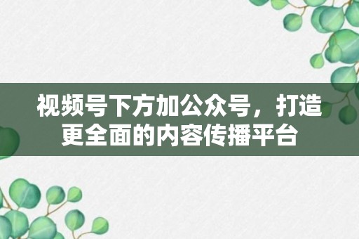 视频号下方加公众号，打造更全面的内容传播平台