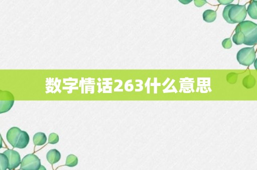 数字情话263什么意思