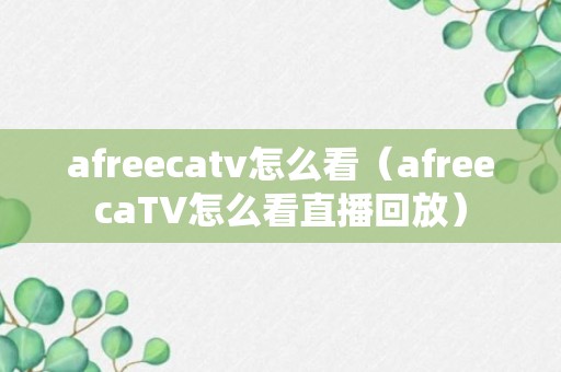 afreecatv怎么看（afreecaTV怎么看直播回放）